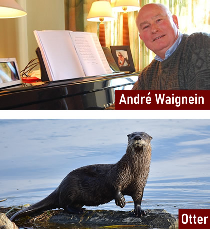 Waignein